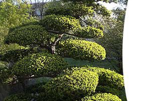 Privatgarten in Gröbenzell