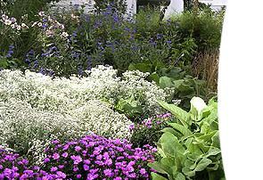 Innenhof in München Stöppel Garten- und Landschaftsbau GmbH